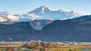 Emergency Plumbing in Abbotsford