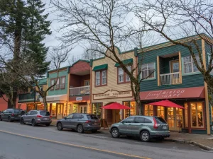 Emergency Plumbing in Fort Langley