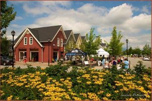 Emergency Plumbing in Pitt Meadows