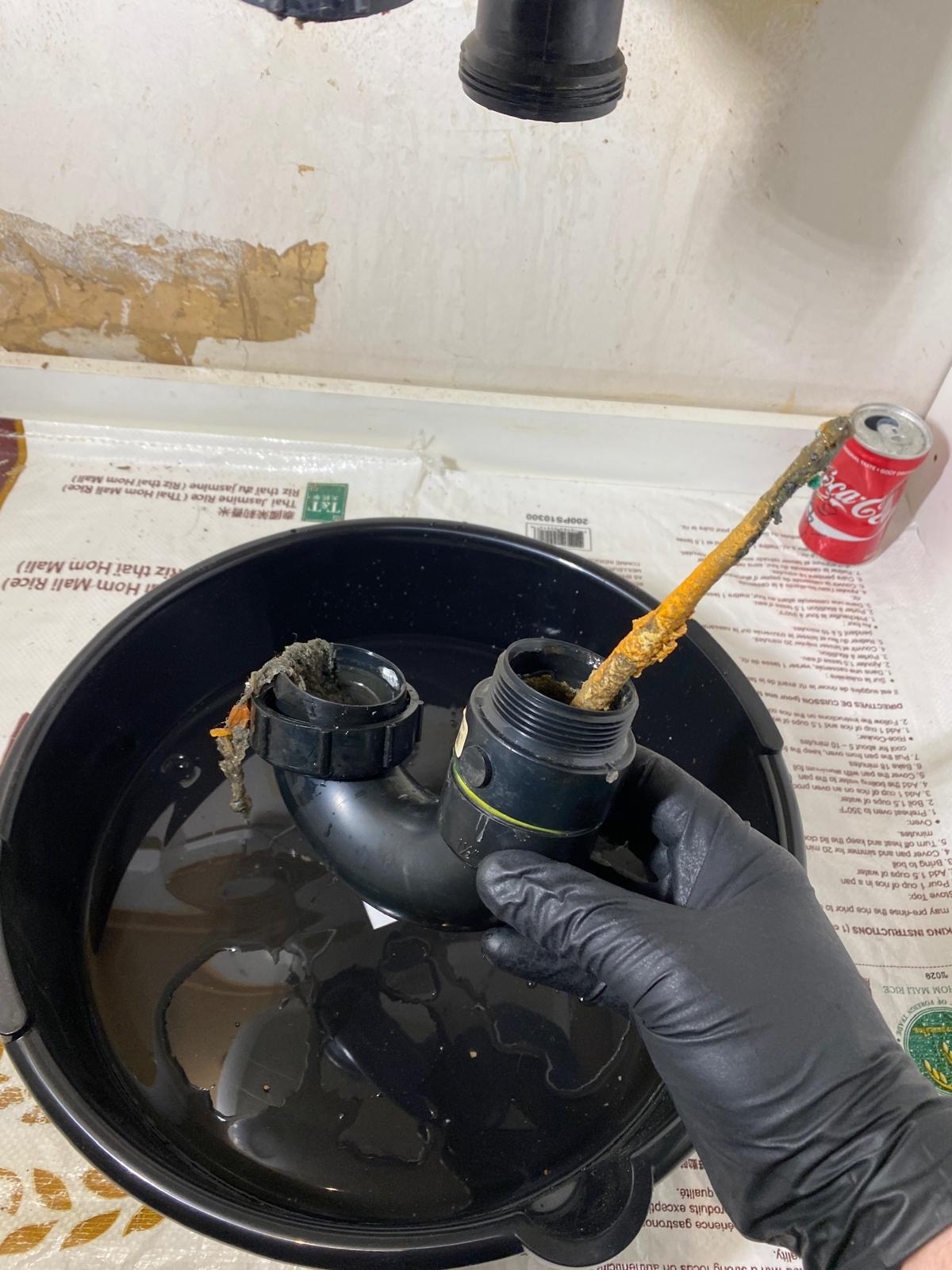 Gloved hand removing chopstick and straw lodged inside disassembled P-trap, drain cleaning in Coquitlam
