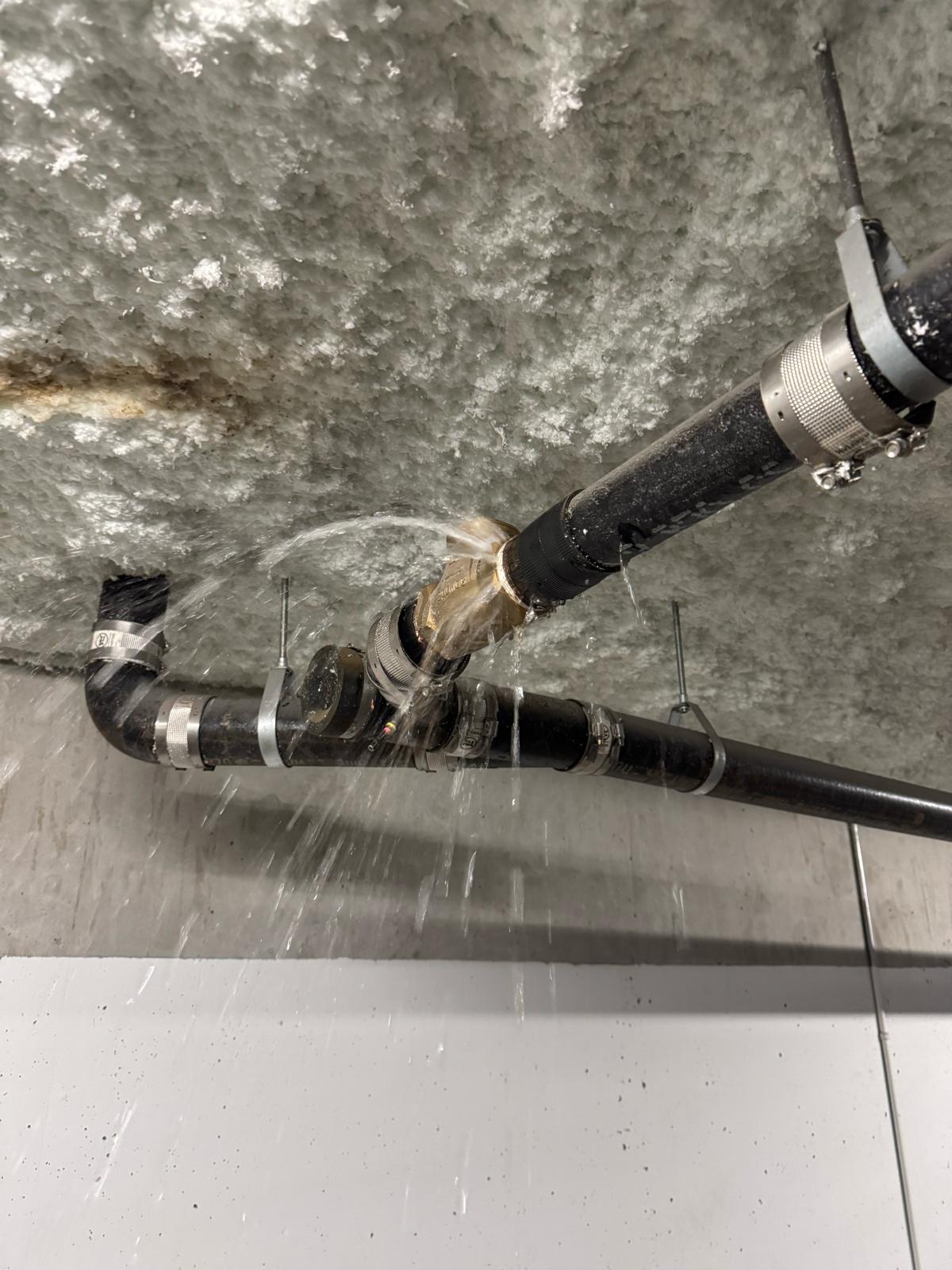 Clog removal blockage — commercial plumbing in Richmond