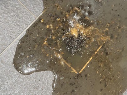 clogged drain in a commercial washroom before it was unclogged