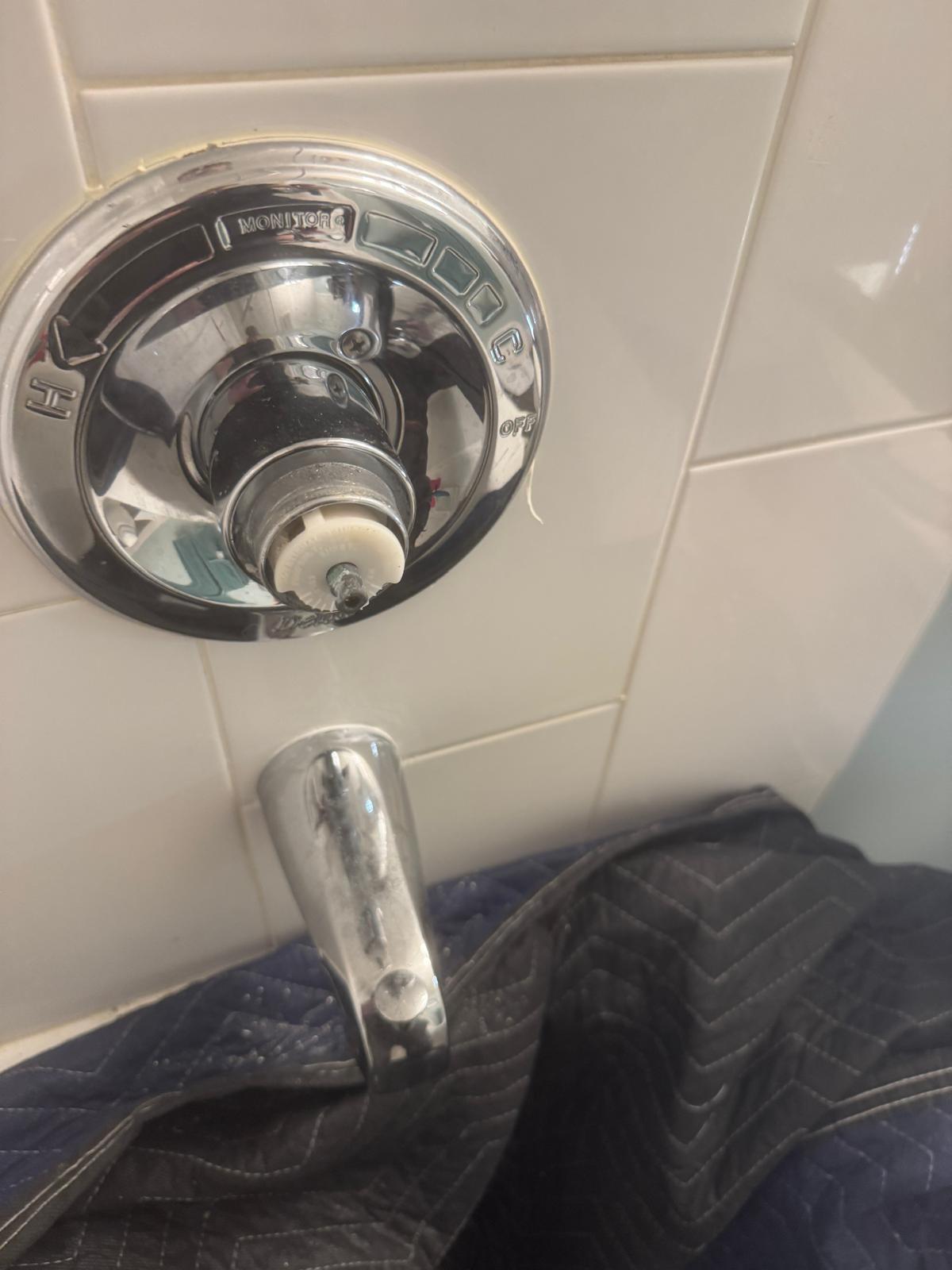Completed emergency plumbing shower repair in Port Moody