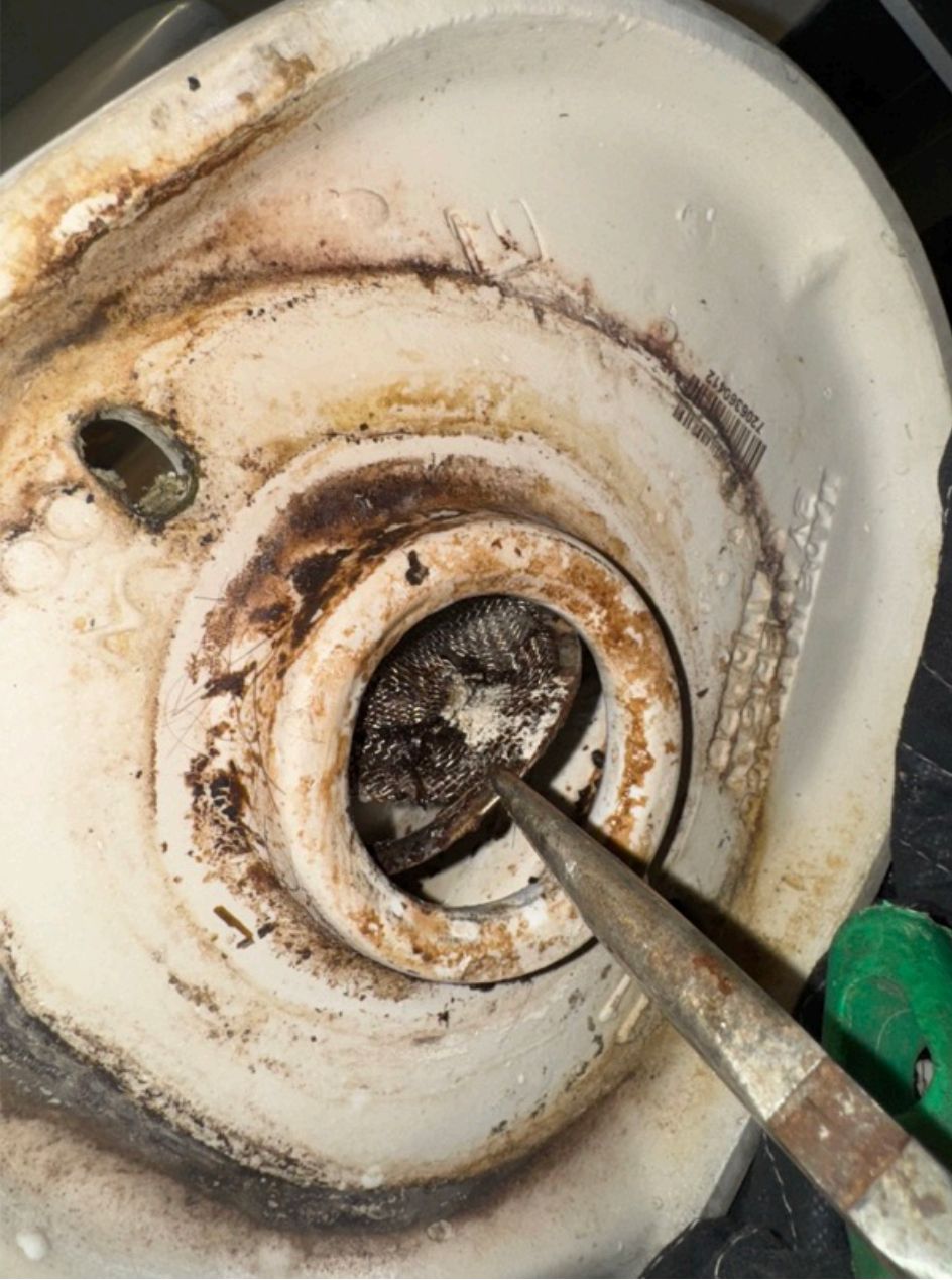 Obstruction extracted from toilet drain during drain cleaning in Vancouver
