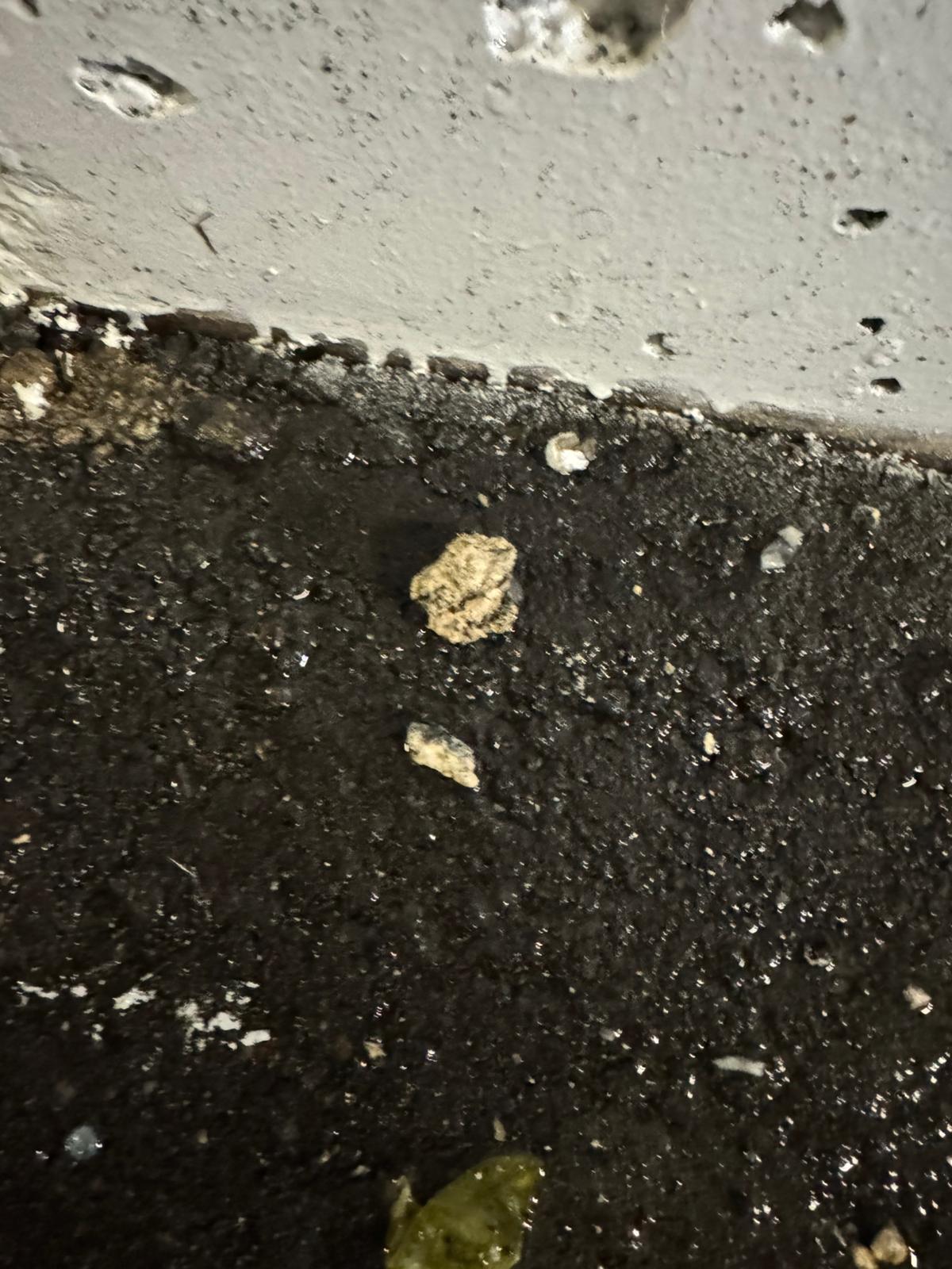 Grease debris pulled onto parkade floor during drain cleaning, commercial plumbing in Abbotsford