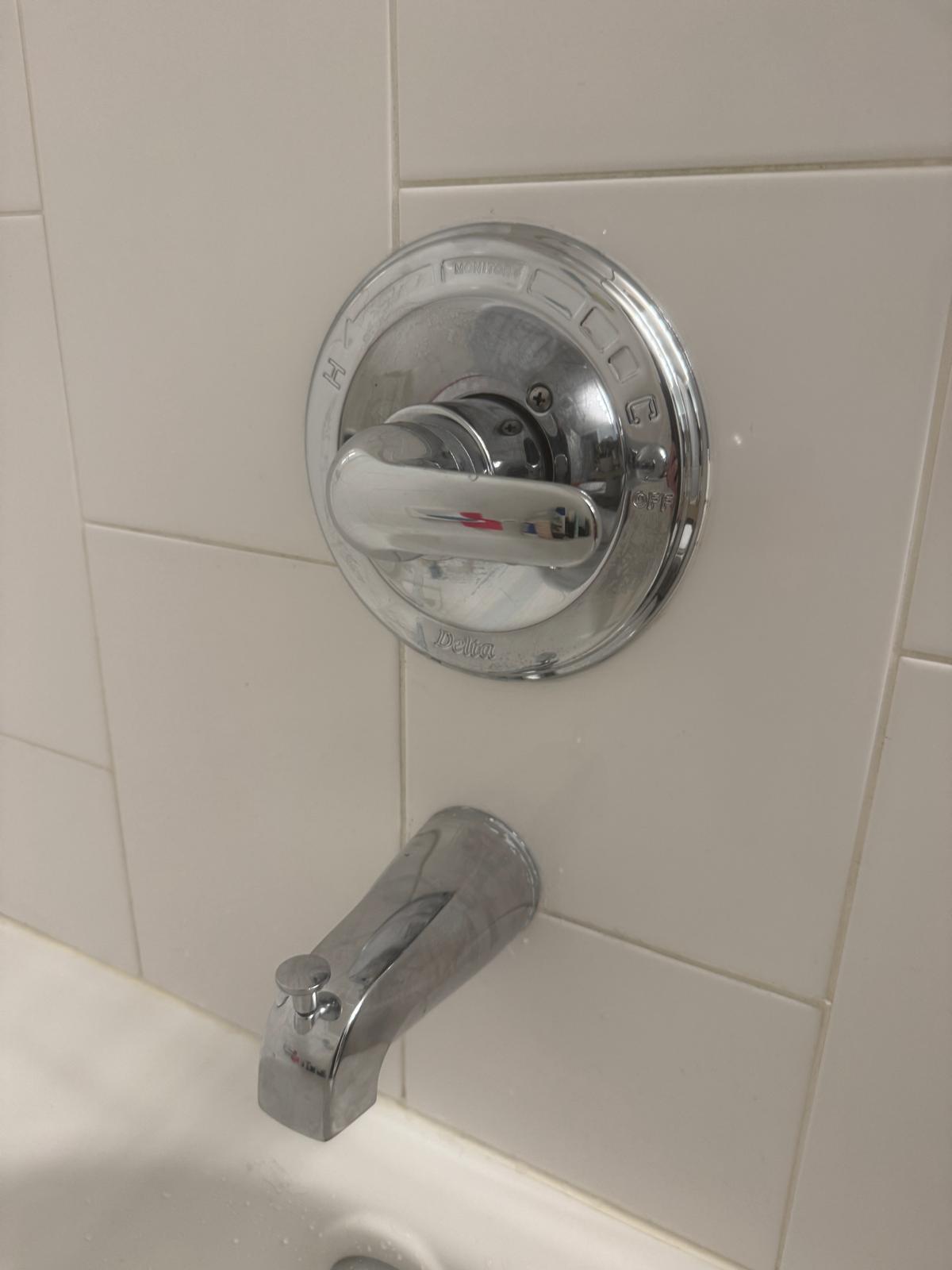 Fresh shower cartridge installed during emergency plumbing repair in Port Moody