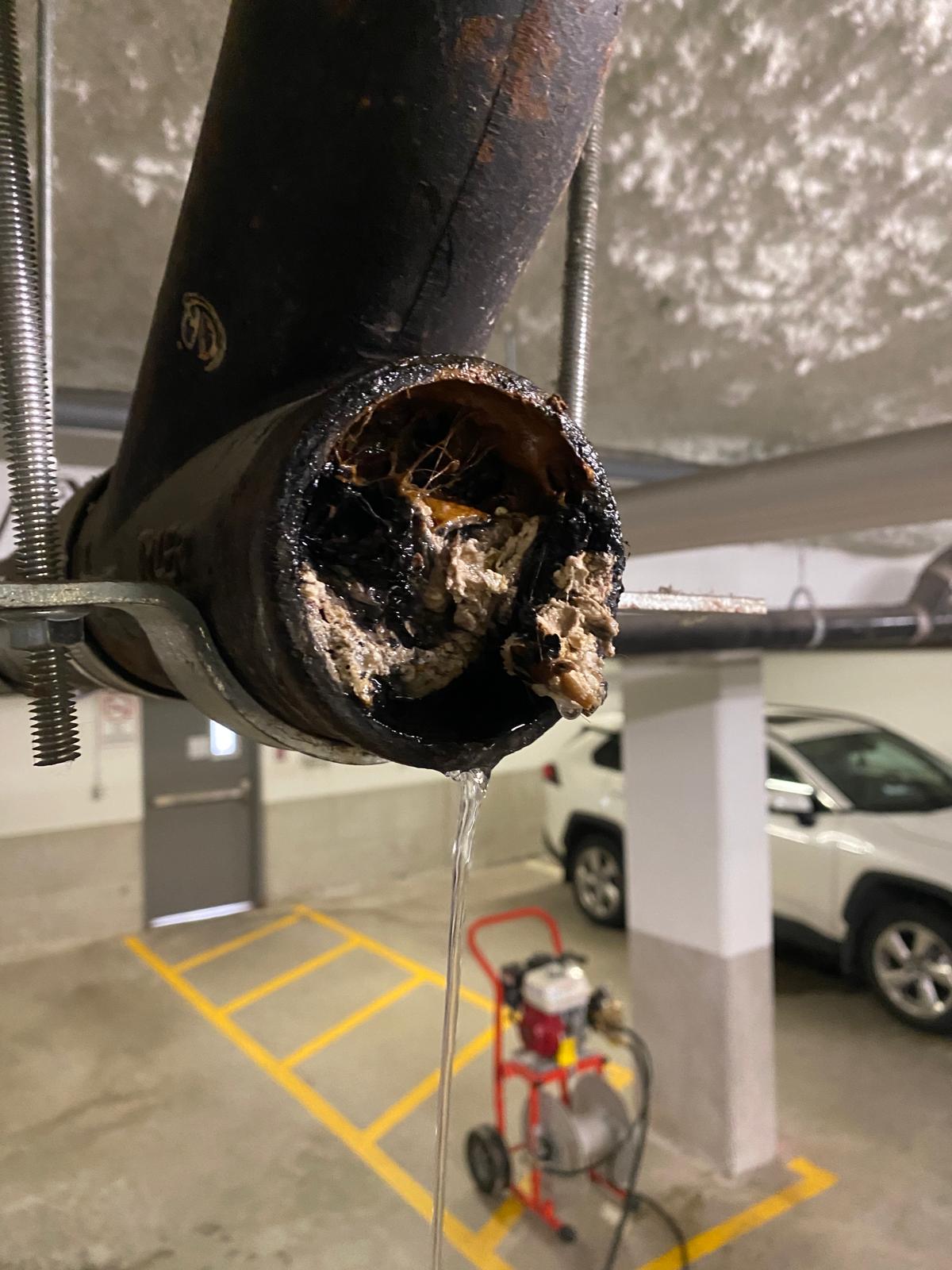 Cross section of opened drain pipe revealing thick grease blockage, commercial plumbing in Burnaby