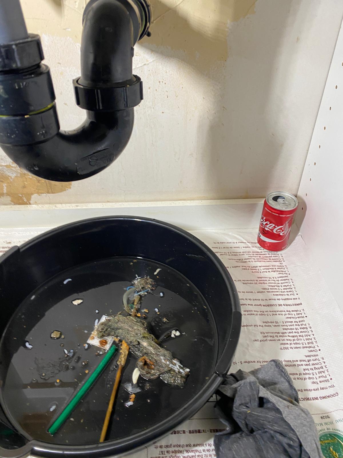 Under-sink view with black P-trap and bucket catching extracted debris, drain cleaning in Coquitlam
