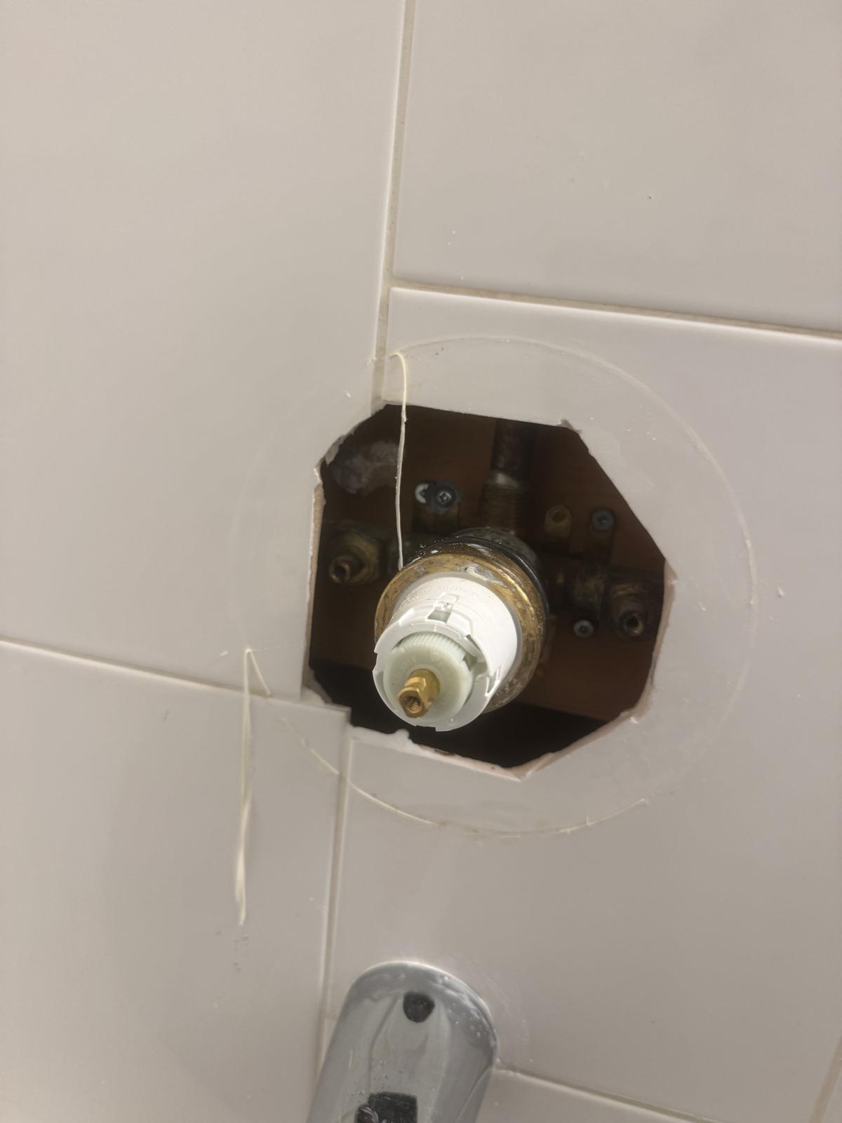 Reassembled shower trim after cartridge replacement during emergency plumbing in Port Moody