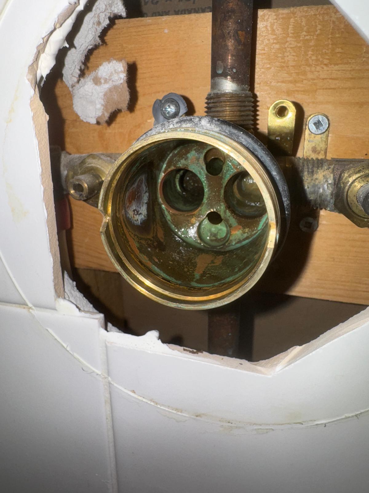 Seized set screw on older shower handle identified during emergency plumbing repair in Port Moody