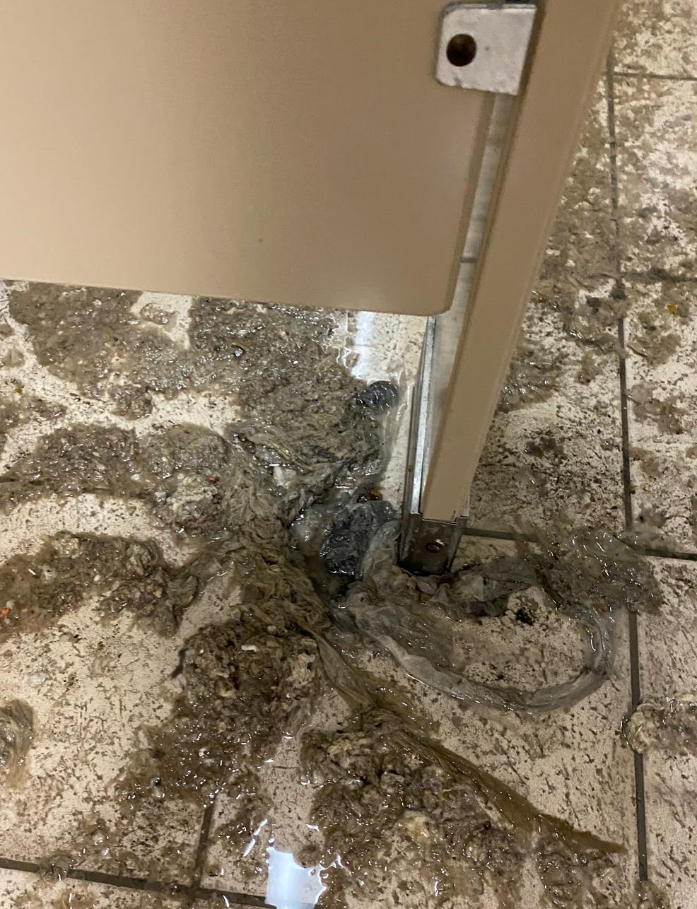 Shower drain floor drain — commercial plumbing in Delta