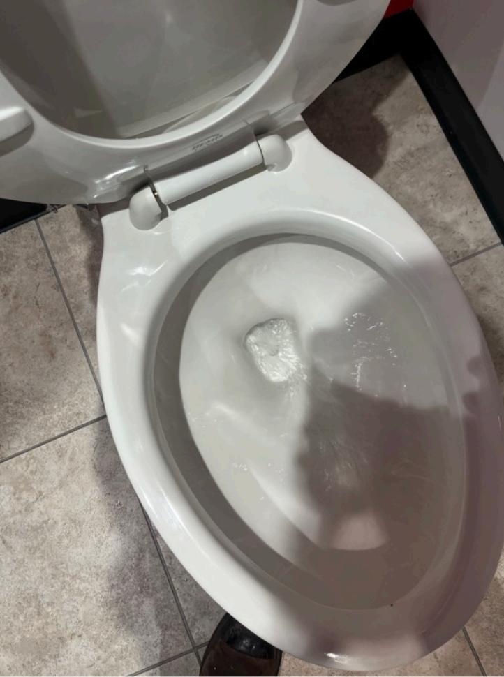 toilet bowl flushing after clog cleared - tile floor bathroom