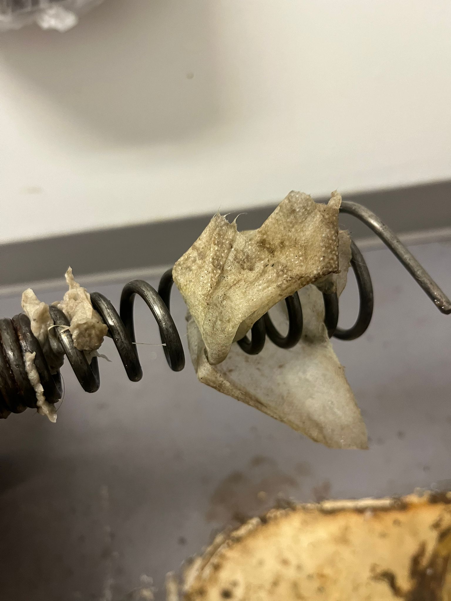 Toilet snake — drain cleaning in Burnaby