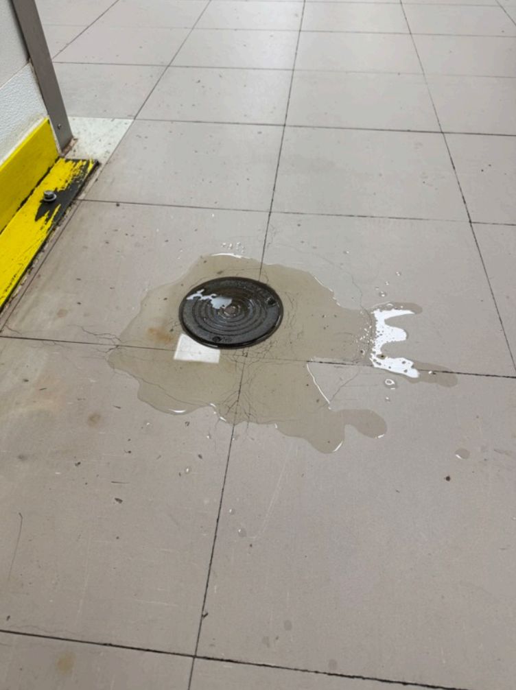 Delta Factor Backed up washroom drain