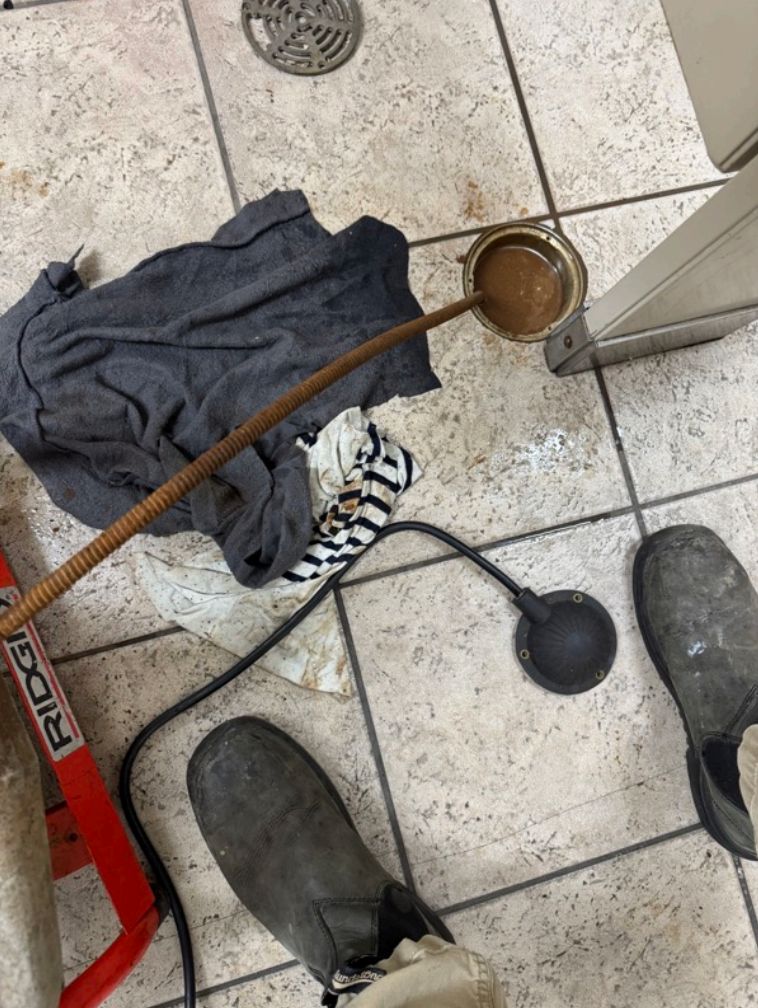 delta factor 75 foot drain snake through floor drain
