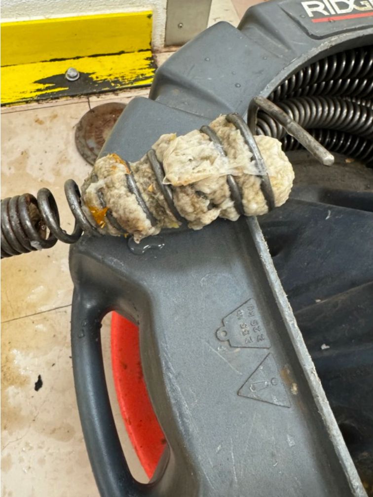 delta factor 120ft drain snake cable with debris