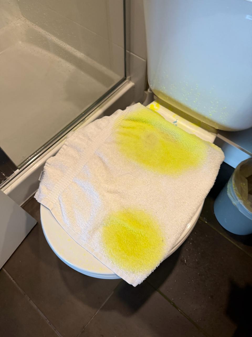 North vancouver condo yellow dye confirms toilet leak